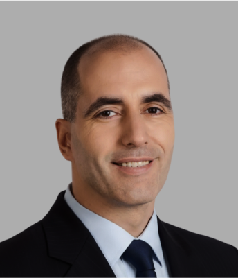 Mladen Milavić photo